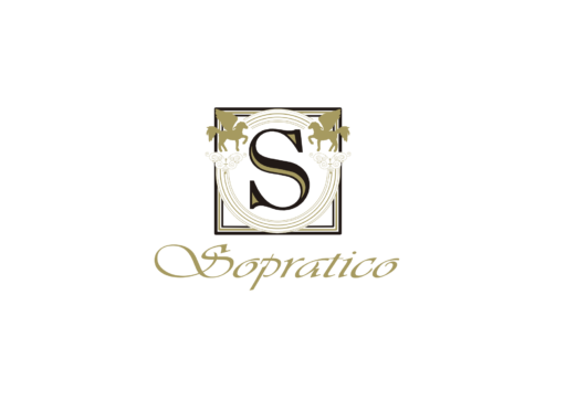 Sopratico Dance studio